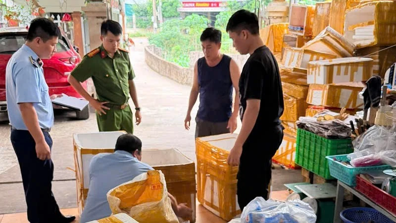 Quảng Ninh thu giữ hơn 26 tấn thực phẩm bẩn không rõ nguồn gốc