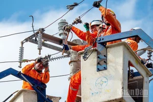 EVNCPC đã cấp điện trở lại cho hơn 1,63 triệu khách hàng, đạt tỷ lệ 99,04% khách hàng bị ảnh hưởng bởi bão số 13.