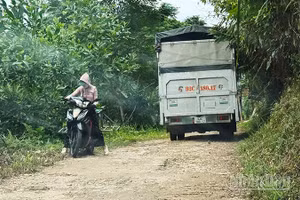 Tuyến đường vào làng dân tộc Cor ở xã Phú Ninh, thành phố Đà Nẵng đã xuống cấp nghiêm trọng.