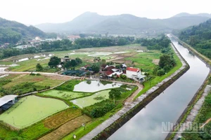 Xây dựng nông thôn mới ở xã Phú Ninh góp phần thay đổi diện mạo quê hương, đời sống nhân dân ngày càng nâng cao.