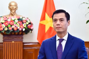 Thứ trưởng Ngoại giao Đặng Hoàng Giang. (Ảnh: Bộ Ngoại giao)