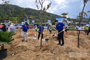 Các bạn đoàn viên thanh niên tham gia trồng cây.