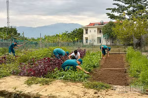Cán bộ, chiến sĩ Ban Chỉ huy Quân sự xã Ia Tơi tích cực tăng gia sản xuất.