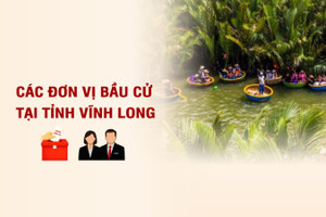 [Infographic] Các đơn vị bầu cử đại biểu Quốc hội tại tỉnh Vĩnh Long