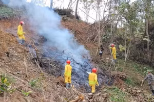 Hạt Kiểm lâm số 2 huấn luyện phòng cháy, chữa cháy rừng cho công nhân Công ty Trách nhiệm hữu hạn một thành viên lâm nghiệp Bắc Kạn. (Ảnh: TUẤN SƠN)