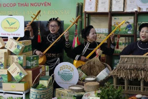 Trình diễn văn nghệ dân gian tại hội thi. (Ảnh: TUẤN SƠN)