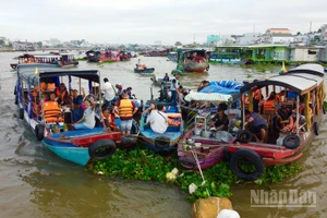 Không chỉ là nơi mua bán, chợ nổi đã trở thành một biểu tượng lâu đời của văn hóa sông nước miền Tây Nam Bộ.