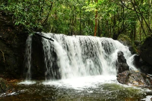 Một dòng thác trên dòng Suối Tranh với cảnh sắc thiên nhiên hữu tình.