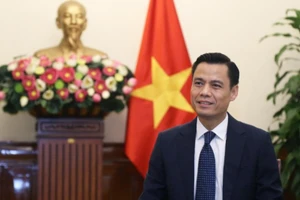 Thứ trưởng Ngoại giao Đặng Hoàng Giang. (Ảnh: Bộ Ngoại giao)