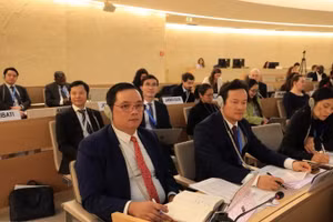 Đoàn Việt Nam tham gia khóa họp lần thứ 58 Hội đồng Nhân quyền Liên hợp quốc, tại Geneva, Thụy Sĩ. (Ảnh: TTXVN)