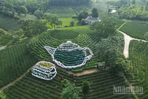 Hình ảnh đẹp thể hiện tinh thần đoàn kết cộng đồng, niềm tự hào quê hương danh trà.