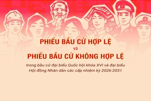 [Infographic] Phiếu hợp lệ và không hợp lệ trong bầu cử đại biểu Quốc hội và Hội đồng nhân dân các cấp