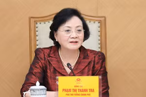 Bí thư Trung ương Đảng, Phó Thủ tướng Chính phủ Phạm Thị Thanh Trà phát biểu tại cuộc họp. (Ảnh: VGP)