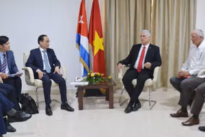 Đồng chí Lê Hoài Trung hội kiến Bí thư thứ nhất, Chủ tịch nước Miguel Diaz-Canel. (Ảnh: TTXVN)