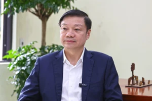 Rừng gỗ lớn - chuyển dịch tư duy từ trồng nhanh sang trồng bền