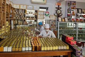 Đóng gói sản phẩm tại Hợp tác xã nông nghiệp Tân Thành. (Ảnh: TUẤN SƠN)