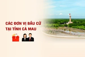 [Infographic] Các đơn vị bầu cử đại biểu Quốc hội tại tỉnh Cà Mau