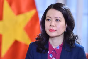 Thứ trưởng Ngoại giao Nguyễn Minh Hằng. (Ảnh: Bộ Ngoại giao)