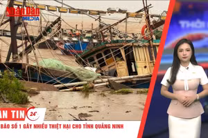 [Video] Thời sự 24h ngày 5/7/2026: Bão số 1 gây nhiều thiệt hại cho tỉnh Quảng Ninh