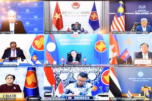 Cuộc họp diễn ra dưới hình thức trực tuyến. (Ảnh: Bộ Ngoại giao Việt Nam)