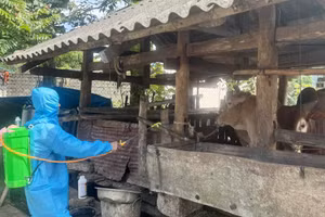 Phun hóa chất diệt côn trùng phòng chống lây lan dịch bệnh tại thôn Lùng Tám, xã Lùng Tám, tỉnh Tuyên Quang.
