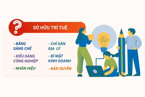 [Infographic] Các loại hình chính của quyền sở hữu trí tuệ