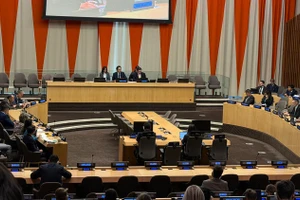 Toàn cảnh phiên họp. (Ảnh: Bộ Ngoại giao)