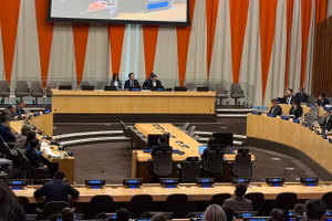 Toàn cảnh phiên họp. (Ảnh: Bộ Ngoại giao)