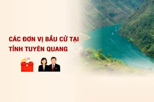 [Infographic] Các đơn vị bầu cử đại biểu Quốc hội tại tỉnh Tuyên Quang