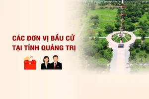 [Infographic] Các đơn vị bầu cử đại biểu Quốc hội tại tỉnh Quảng Trị