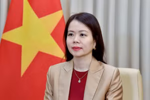 Thứ trưởng Ngoại giao Nguyễn Minh Hằng. (Ảnh: Bộ Ngoại giao)