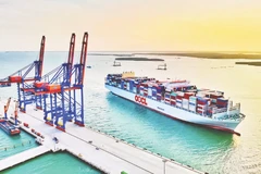 Hoạt động vận chuyển hàng hóa tại khu vực cảng Cái Mép. (Ảnh THẾ ANH)