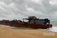 Tàu hàng số hiệu HY 0459 bị mắc cạn tại khu vực bờ biển phường Đức Phổ, tỉnh Quảng Ngãi. 