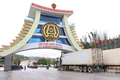 Tỉnh Quảng Ngãi yêu cầu phòng, chống dịch bệnh do virus Nipah ngay từ cửa khẩu.