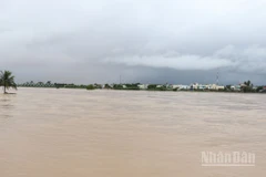 Đợt mưa lũ vừa qua gây thiệt hại lớn về người và tài sản tại nhiều địa phương trong tỉnh Quảng Ngãi.