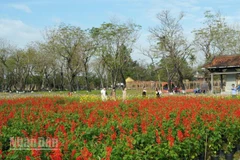 Tết Phú Xuân - Sắc vị Kinh kỳ hút khách từ những ngày mới chuẩn bị.