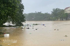 Sau lụt, một lượng lớn rác thải sinh hoạt được đẩy ra đường, sông, cần được xử lý sớm.