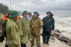 Bí thư Thành ủy Nguyễn Đình Trung thị sát điểm sạt lở bờ biển ở phường Thuận An, Huế chiều 22/10.