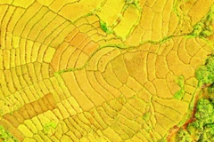 Phía tây miền núi tỉnh Quảng Ngãi sở hữu nhiều cảnh quan thiên nhiên phù hợp du lịch trải nghiệm.