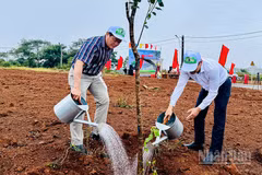 Các đại biểu tham gia trồng cây, góp phần tạo cảnh quan xanh-sạch-đẹp cho khu vực trung tâm xã Măng Đen.