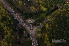 Măng Đen - Nóc nhà miền trung, trái tim xanh của tỉnh Quảng Ngãi.