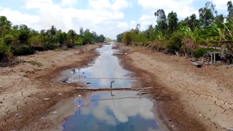 Tình hình xâm nhập mặn tại Đồng bằng sông Cửu Long được đánh giá không cực đoan như các năm trước đây.