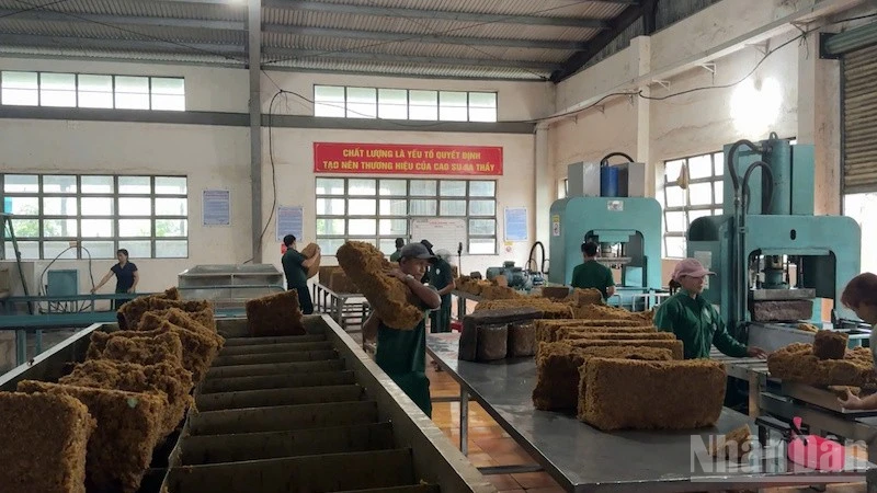 Công nghiệp cao-su Quảng Ngãi đổi mới và nâng cao chất lượng