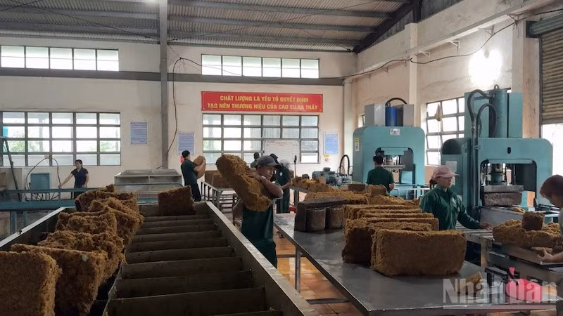 Công nghiệp cao-su Quảng Ngãi đổi mới và nâng cao chất lượng