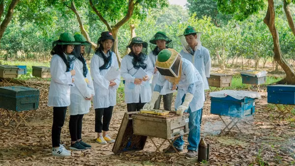 Mô hình nuôi ong tại Trung tâm Nghiên cứu Ong và Nuôi ong nhiệt đới. (Ảnh: Học viện Nông nghiệp Việt Nam). 