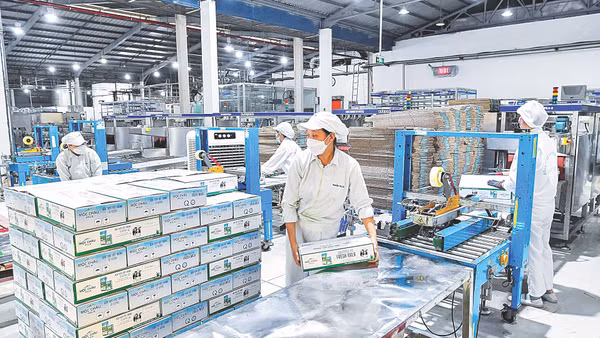 Trong những bước phát triển lớn của nền kinh tế có dấu ấn của nhiều doanh nghiệp tư nhân ở các lĩnh vực. (Ảnh: Thành Đạt)