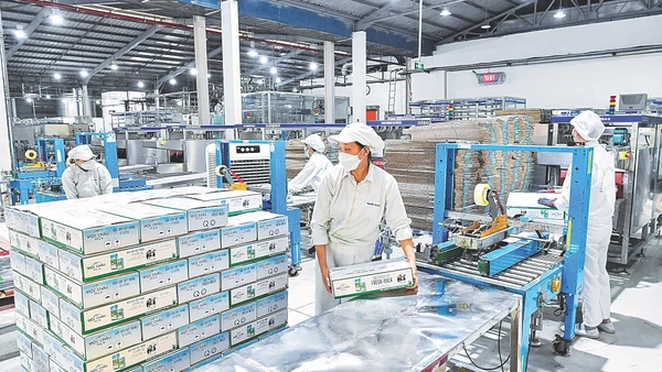 Trong những bước phát triển lớn của nền kinh tế có dấu ấn của nhiều doanh nghiệp tư nhân ở các lĩnh vực. (Ảnh: Thành Đạt)