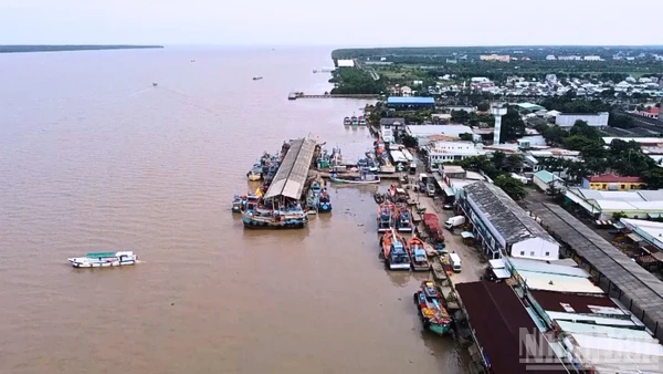 Cảng cá Trần Đề nhìn từ trên cao.