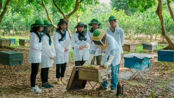 Mô hình nuôi ong tại Trung tâm Nghiên cứu Ong và Nuôi ong nhiệt đới. (Ảnh: Học viện Nông nghiệp Việt Nam). 