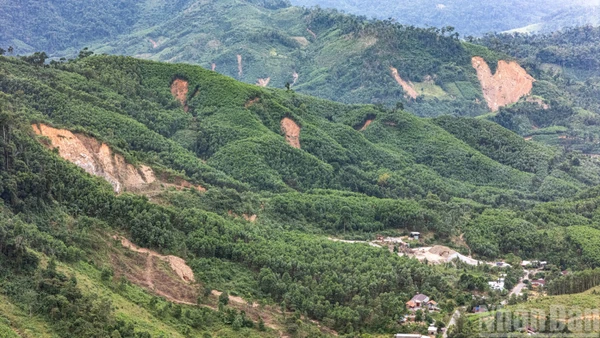 Những điểm sạt lở như những vết sẹo mà thiên tai đi qua để lại trên bề mặt núi rừng Đà Nẵng.